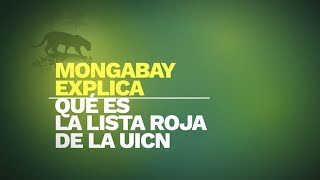 Mongabay explica ¿qué es la Lista roja de la UICN [upl. by Thordia]