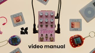 Lossy  Video manual [upl. by Nairehs404]