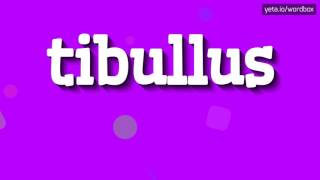 TIBULLUS  HOW TO PRONOUNCE IT [upl. by Eiryk]