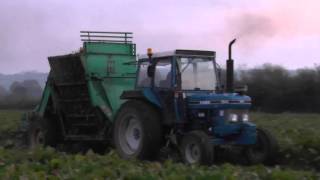 Ford 7610 Tractor with an Armer Salmon Beet Harvester lifting beet [upl. by Ochs]