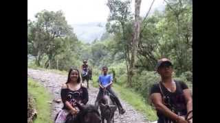 VALLE DEL COCORA SALENTO QUINDIO [upl. by Aun]