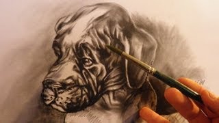 Hoe teken je een hond met de dry brush techniek  dieren tekenen  5 [upl. by Annaeiluj971]