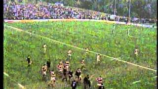 Pontypool v All Blacks 1989 part 2 of 3 [upl. by Tabby356]