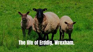 life at Erddig Wrexham [upl. by Ennairod]