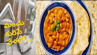 Spicy Cranberry beans Indian recipe  Borlotti beans curry  Roman beans masala  Rose coco beans [upl. by Arrais]