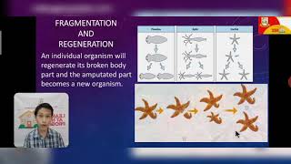 Ways of Animal Reproduction Earth and Life Science Grade 11 Discussion Video [upl. by Ylellan207]