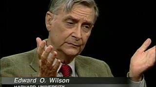 E O Wilson interview 1998 [upl. by Corabel]