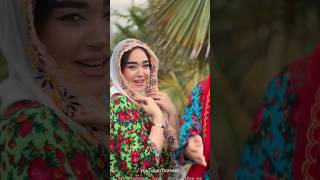 bandari bandarisong tehran kabul dushanbe samarkand shortvideo dariweb afg tajiki بندری [upl. by Goldner96]