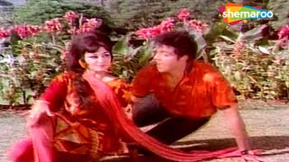 Door Se Tera Deewana Aaya Hai  Raaton Ka Raja 1970 Dheeraj Kumar  Vaishali  RD Burman Hits [upl. by Salokcin]