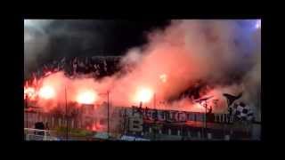 Ultras Rapid Bucuresti [upl. by Wahs]