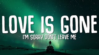 SLANDER  Love is Gone Lyrics ft Dylan Matthew Acoustic quotIm sorry dont leave mequot [upl. by Acinemod]