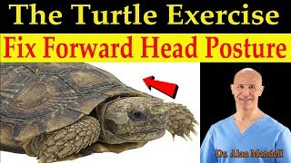 The Turtle Exercise  The Simple amp Fun Way to Fix Forward Head Posture  Dr Alan Mandell DC [upl. by Ahseim]