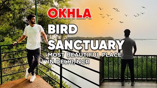 Okhla Bird Sanctuary Noida  Okhla Bird Sanctuary Ticket Price  Okhla Bird Sanctuary Timing [upl. by Aken]