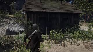 Red Dead Redemption 2 Exploring The Wapiti Reservation During The Epilogue [upl. by Leahkim28]