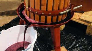 Home Winemaking From Grapes  Red Grape Wine and White Grape Wine  Demonstration and Tips [upl. by Hulburt]