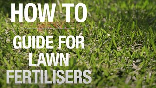 How To Guide For Lawn Fertilisers  Bunnings Warehouse [upl. by Aisatsanna]