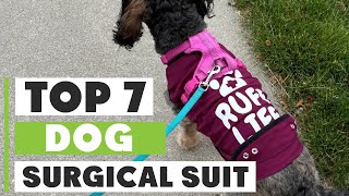 Ultimate Guide Choosing the Best Dog Surgical Suit [upl. by Westley426]