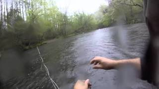 smokies trout fishing elkmont campgroud 2016 [upl. by Daniels]