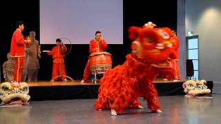 Chinese Lion Dance [upl. by Ahtelat307]