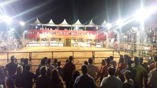 Expo canindeyú rodeio 2016 [upl. by Leibarg37]