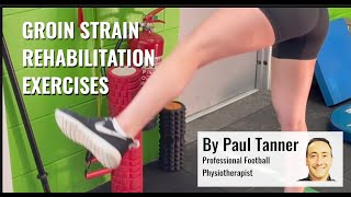 Groin Strain Strengthening Exercises [upl. by Arica]