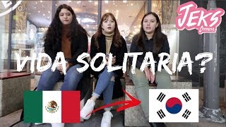 ASÍ VIVEN LOS MEXICANOS EN COREA LA VERDAD SOBRE VIVIR EN ESTE PAÍS  JEKS [upl. by Ynaffik]