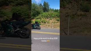 happy pride month motorbiker gsxr750 gsxr gsxr150 pridemonth lgbtq motorbiking zx6r [upl. by Issie200]