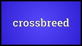 Crossbreed Meaning [upl. by Namyl237]