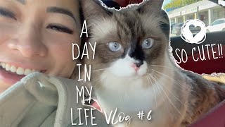 A DAY IN MY LIFE 6 Juggling Todays schedule appointments amp ASMR Videos  JustSissi [upl. by Airemaj]