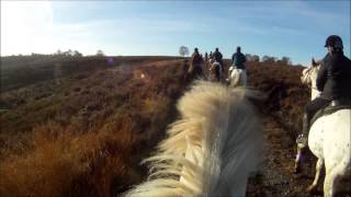 Cannock Chase Trekking Centre 18 November 2012 GoPro HD 1080p [upl. by Llerraj978]