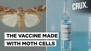 How Novavax Used Moths To Create Its Coronavirus Vaccine [upl. by Bouchier]