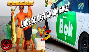 PESCAR VS BOLT UNDE SE CASTIGA MAI BINE OGLAND [upl. by Gibbons]