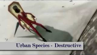 Urban Species  Destructive video by burgiata [upl. by Smail]