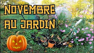 🎃 Novembre 🎃 Quoi faire au jardin potager en permaculture  Semis Plantation Entretien amp Serre [upl. by Isabelita681]