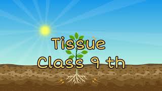 Tissue Class 9 One Shot With Notes [upl. by Sykleb]