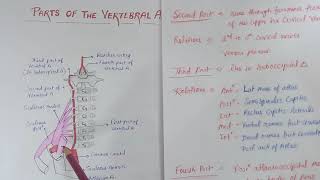 Vertebral Artery [upl. by Alhak]