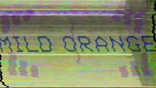 Mild Orange  Stranger Official Audio [upl. by Rasaec]