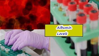 Albumin Levels – High Low Normal Range [upl. by Ohare]