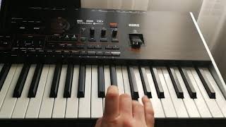 Paidusca MACHEDONEASCA  korg pa4x [upl. by Thgiled273]