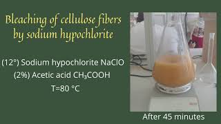 Bleaching of cellulose fibers by sodium hypochlorite [upl. by Leonerd]