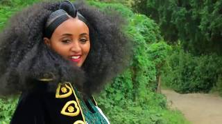 Ethiopian music  Haftom GMichael  Welelaatonወለላኣተን  Ethiopian Tigrigna Music Official Video [upl. by Pestana42]