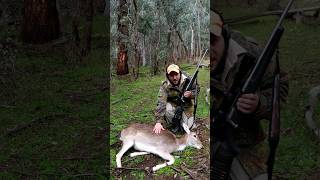 NSW State Forest Hunt  Fallow Deer  Savage Axis 308 Win hunting australia outback forest [upl. by Namharludba]