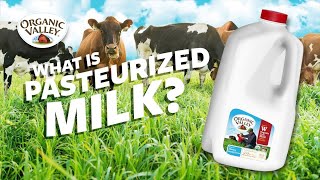 What is Pasteurized milk  Ask Organic Valley [upl. by Eddra]