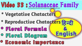 Solanaceae Family  Characters Floral Formula Floral Diagram amp Economic Importance  NEET amp Agri [upl. by Moser882]