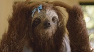 Australian Stoner Sloth Campaign Becomes Viral Joke [upl. by Auqinot]