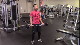 Standing EZ Bar Bicep Curl  Supinated Grip [upl. by Araek]