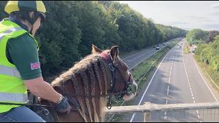 Riding Training at HDP with Smokie the Cob [upl. by O'Toole]