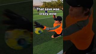 INSANE GOALIE SAVES goalkeeper soccer football [upl. by Nabi]