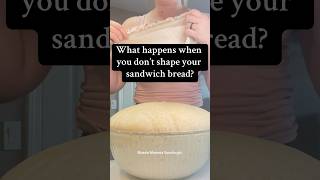 Not shaping my sourdough sandwich bread breadmaking sourdoughbread shaping baking [upl. by Llerroj563]