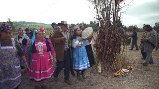 Mapuche Saving Indigenous Language [upl. by Sirahs]